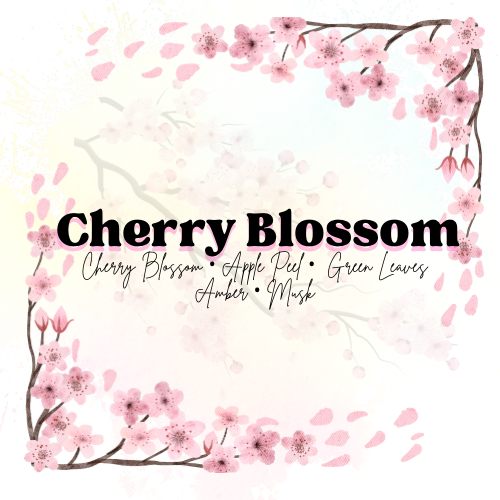 Cherry Blossom